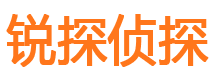 临港侦探公司